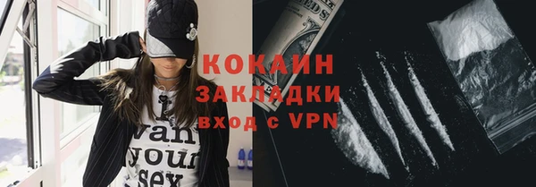 прущая мука Вяземский