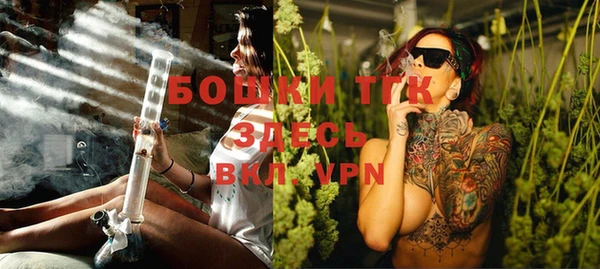прущая мука Вяземский