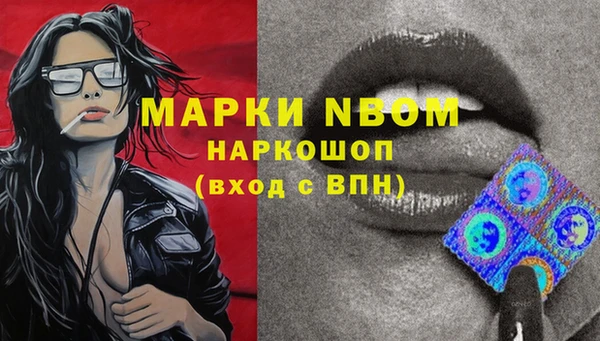 прущая мука Вяземский