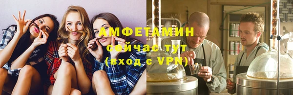 прущая мука Вяземский